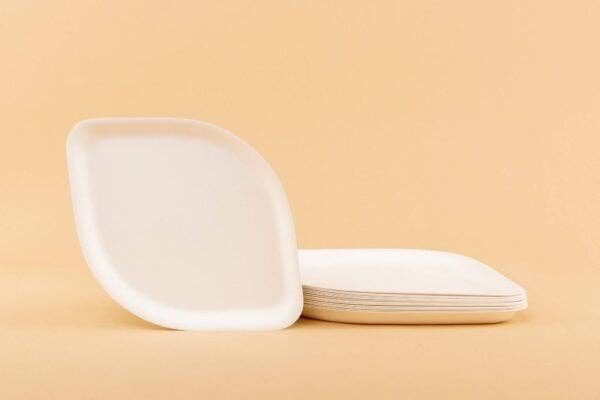 Compostable Appetizer Plates 8" | 3 Colors | 8-Pack