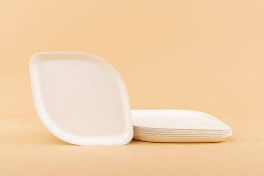 Compostable Appetizer Plates 8" | 3 Colors | 8-Pack