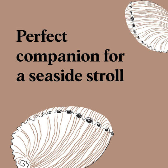 Pocket Nature: Beachcombing