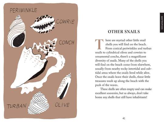 Pocket Nature: Beachcombing