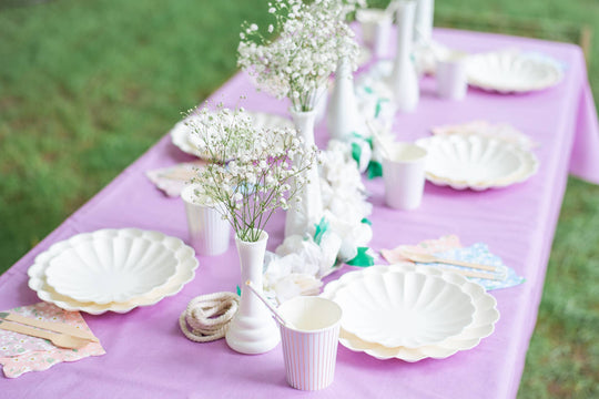 Eco-Friendly Disposable Pastel Paper Table Cover