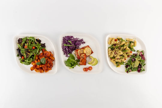 Compostable Dinner Plates 10" | 3 Colors | 25-Pack