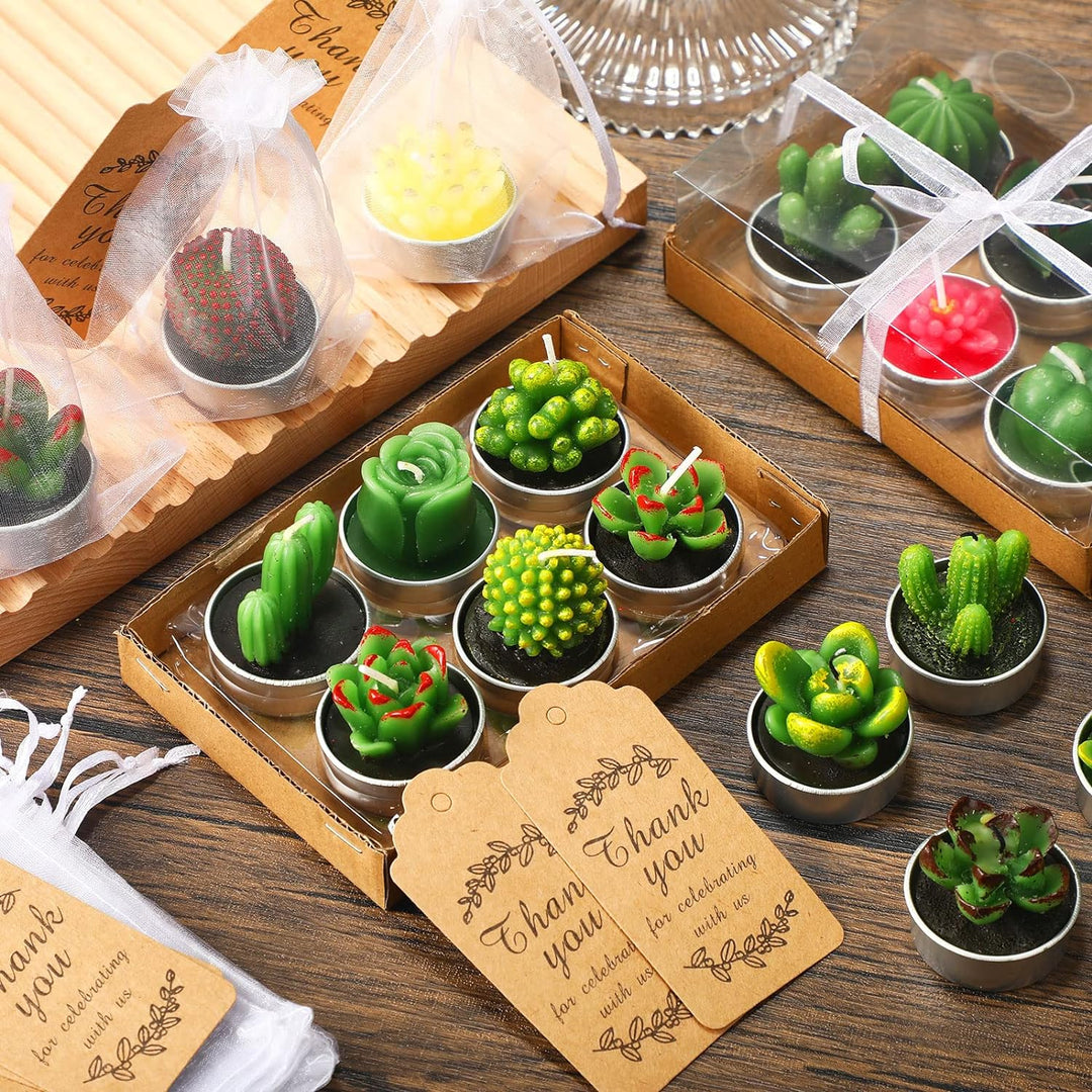 Succulent Candles