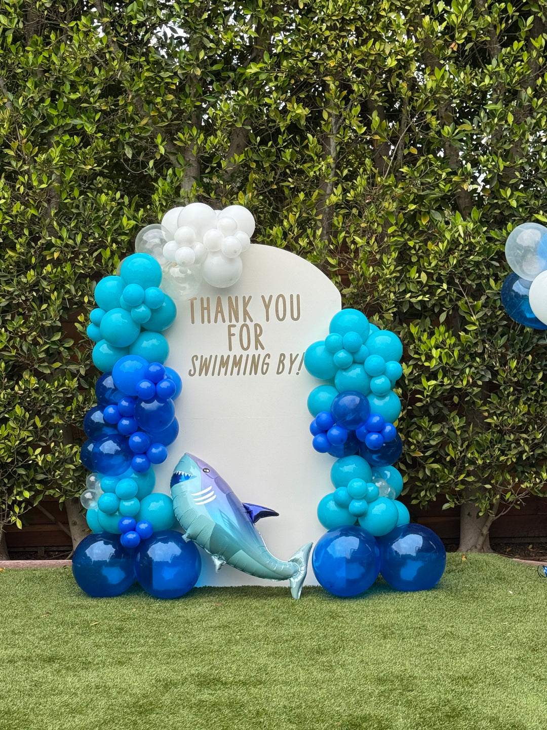 Wood Backdrops with Balloon Garlands