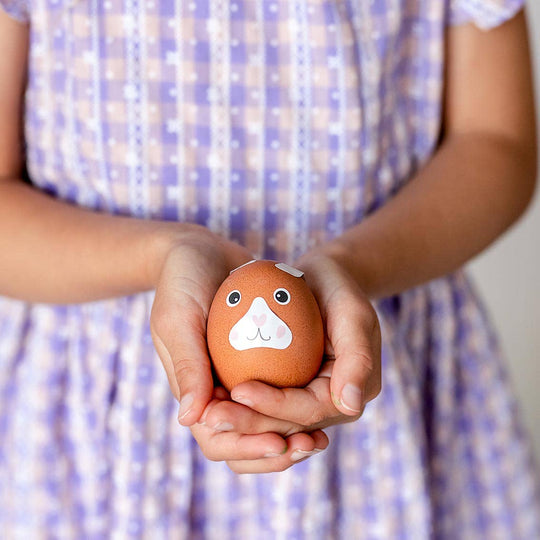 Easter Egg Decorating Kit