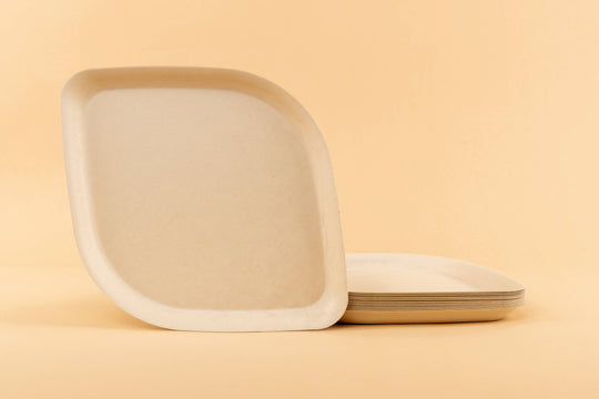 Compostable Dinner Plates 10" | 3 Colors | 25-Pack