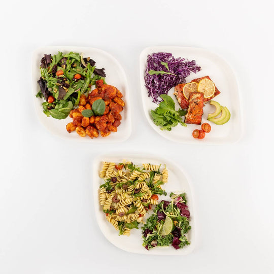 Compostable Dinner Plates 10" | 3 Colors | 25-Pack