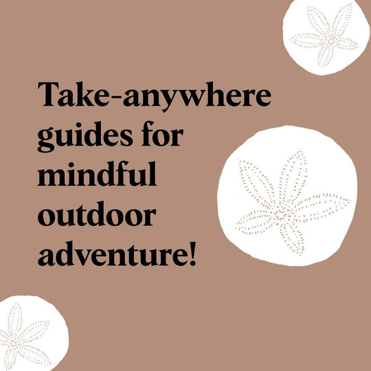 Pocket Nature: Beachcombing