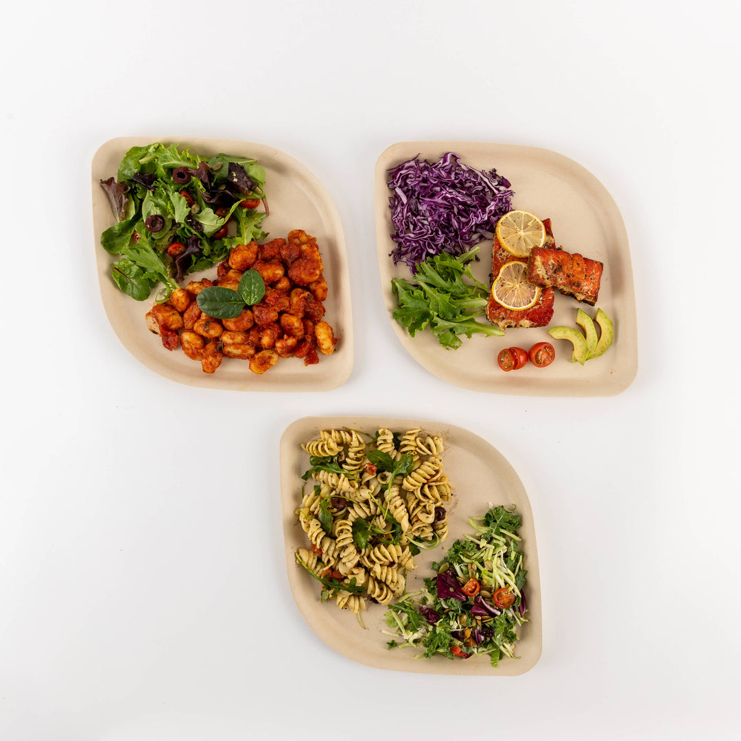Compostable Dinner Plates 10" | 3 Colors | 25-Pack