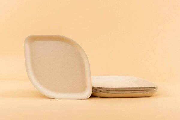 Compostable Appetizer Plates 8" | 3 Colors | 8-Pack